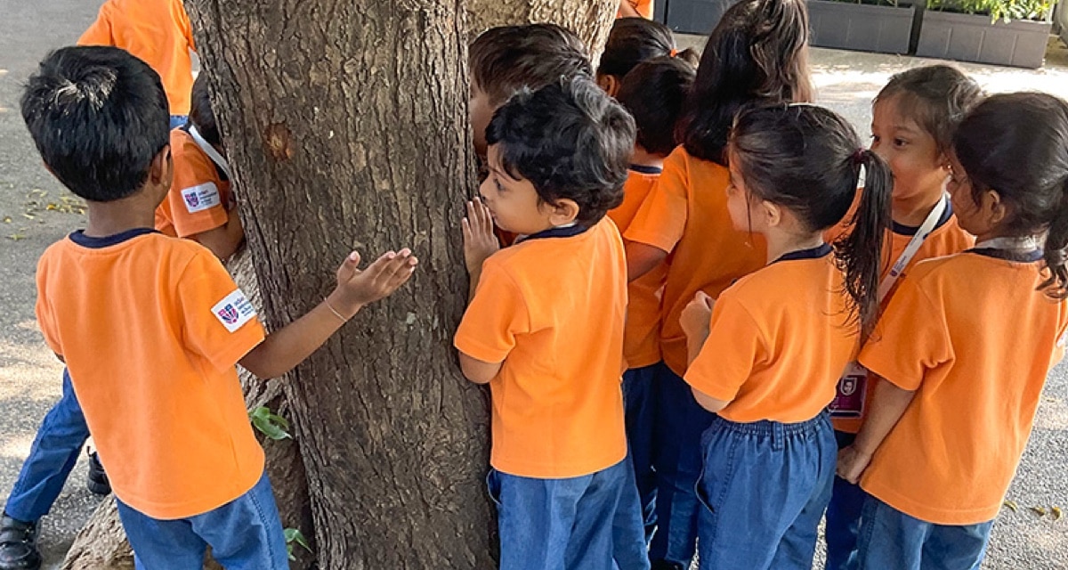 students around a tree at Adani International School