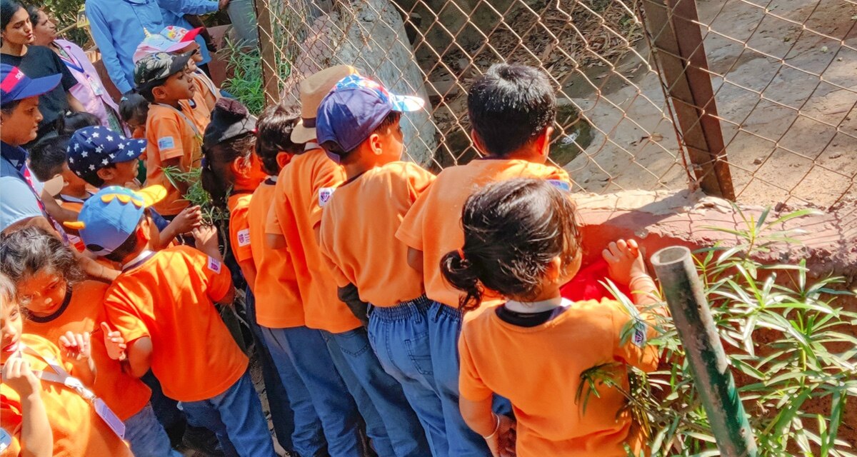 students looking at the cage in zoo