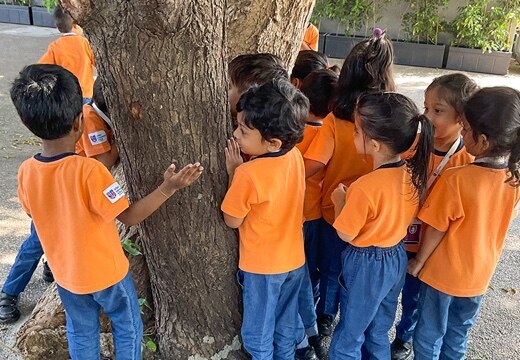 students around a tree at Adani International School