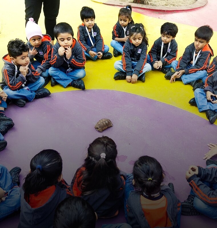 students enjoying at zoo
