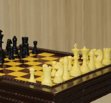 Carrom at Adani International School